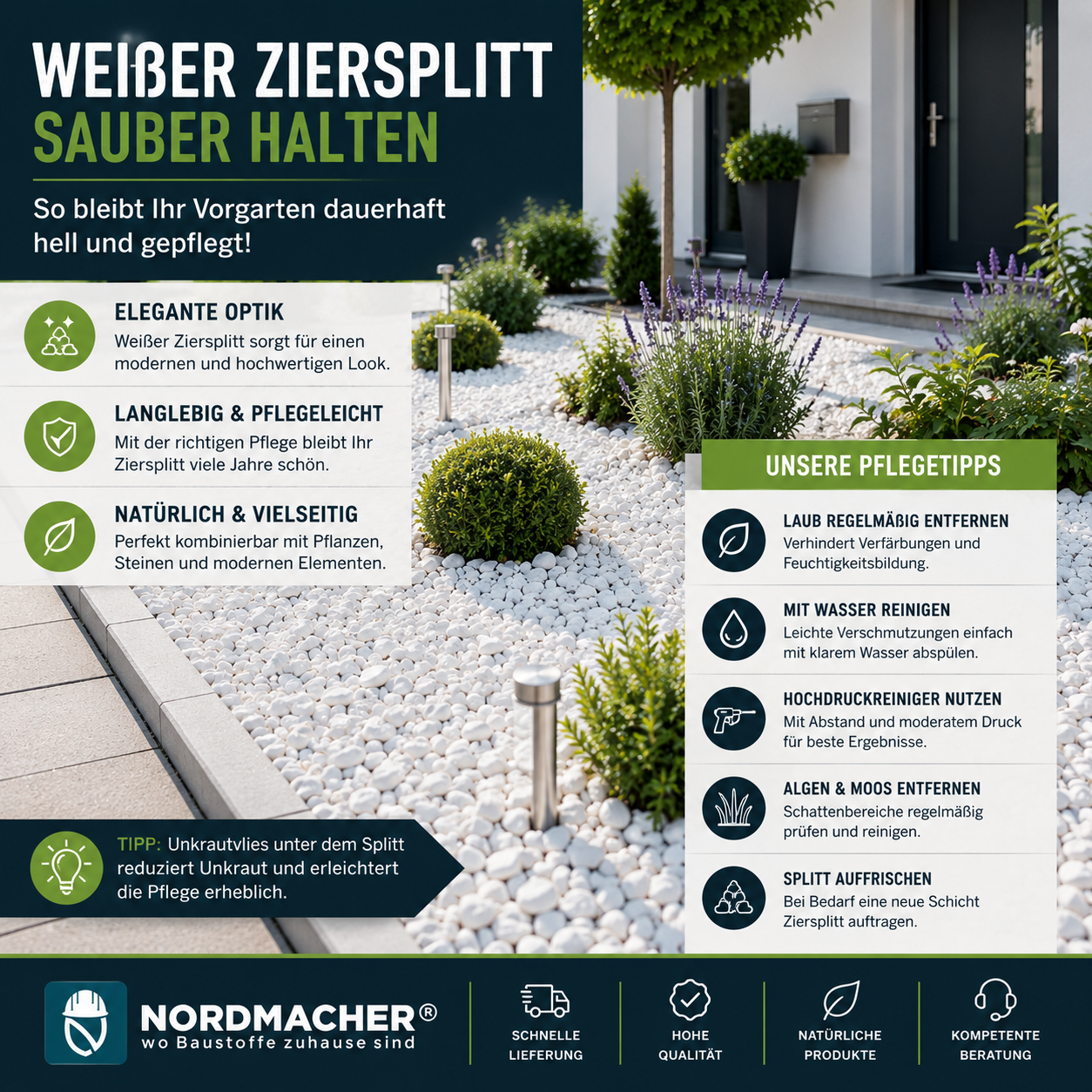 Sauberer weißer Ziersplitt in einem gepflegten Vorgarten mit moderner Bepflanzung