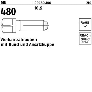 DIN 480 10.9 - Vierkantschrauben