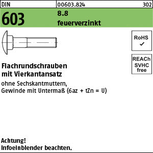 DIN 603 o.Mutter 8.8 U feuerverzinkt - Flachrundschrauben