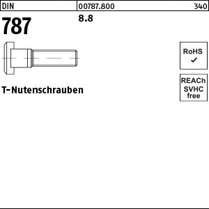 DIN 787 8.8 8 - T-Nutenschrauben