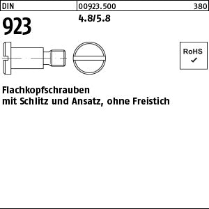 DIN 923 4.8/5.8 - Flachkopfschrauben
