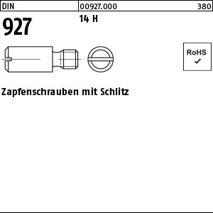 DIN 927 14 H - Zapfenschrauben