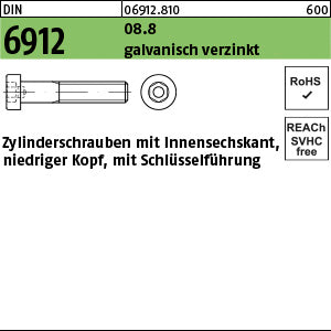 DIN 6912 08.8 galvanisch verzinkt - Zylinderschrauben