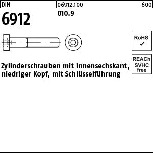 DIN 6912 010.9 - Zylinderschrauben