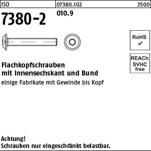 ISO 7380 -2 010.9 - Flachkopfschrauben mit Bund