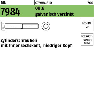 DIN 7984 08.8 galvanisch verzinkt - Zylinderschrauben