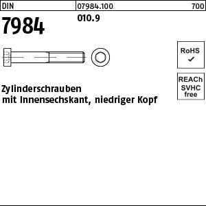 DIN 7984 010.9 - Zylinderschrauben
