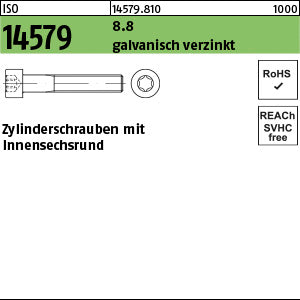 ISO 14579 8.8 galvanisch verzinkt - Zylinderschrauben
