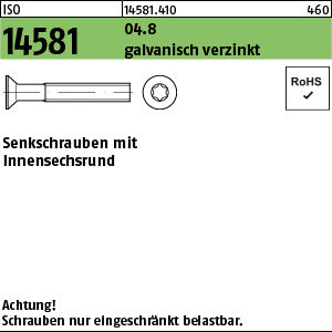 ISO 14581 04.8 Torx galvanisch verzinkt - Senkschrauben