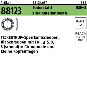 TECKENTRUP-Sperrkantscheiben C 60 Zinklamellenbeschichtung NSK-S 4 Zinklamelle - TECKENTRUP-Sperrkantscheiben