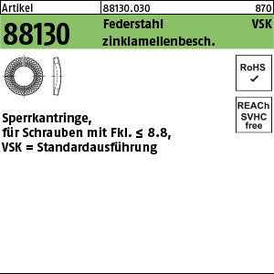 Sperrkantringe Federstahl VSK 4 Zinklamellenbeschichtung Zinklamellenbeschichtung - Sperrkantringe VSK