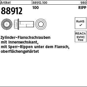 Innen-6-kt. Schrauben Klasse 100 mit Sperr-Ripp, - Zyl.-Flanschschrauben