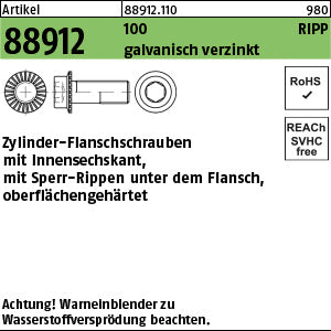 Innen-6-kt. Schrauben Klasse 100 galvanisch verzinkt, mit Sperr-Ripp, - Zyl.-Flanschschrauben