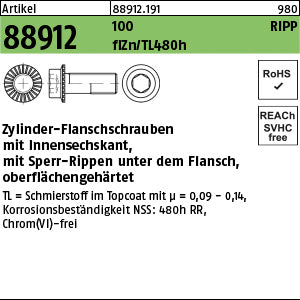 Innen-6-kt. Ripp-Schrauben Klasse 100 Zinklamelle - Zyl.-Flanschschrauben