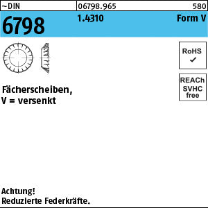 DIN 6798 1.4310 V 3, 2 rostfrei - Fächerscheiben