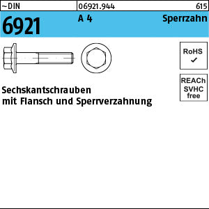 DIN 6921 A4 mit Sperrverzahnung - Sechskant.schrauben mit Flansch