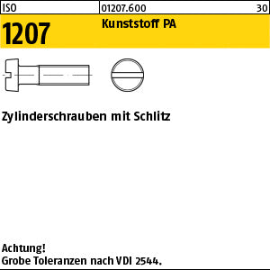ISO 1207 Kunststoff Polyamid - Zylinderschrauben