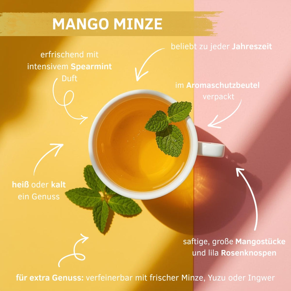Türkischer Apfeltee - Mango / Minze