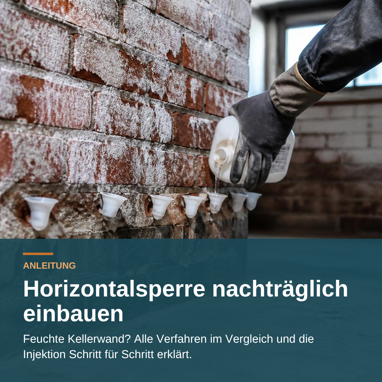 Horizontalsperre nachträglich einbauen: Injektionstrichter in der Bohrlochreihe einer feuchten Kellerwand