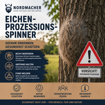 Eichenprozessionsspinner erkennen – Warum Sie Abstand halten sollten