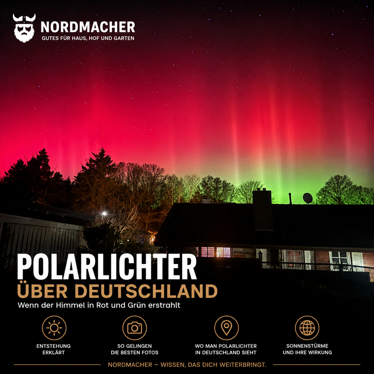 Intensive rote und grüne Polarlichter leuchten über einer Wohnsiedlung bei klarem Sternenhimmel in Deutschland.