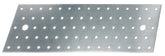 Lochplatte verzinkt 300x100x2mm