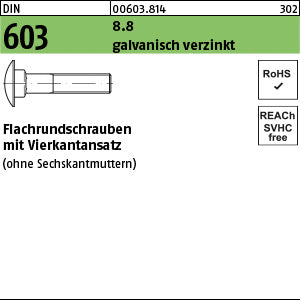 DIN 603 o.Mutter 8.8 galvanisch verzinkt - Flachrundschrauben