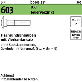 DIN 603 o.Mutter 8.8 U feuerverzinkt - Flachrundschrauben