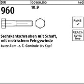 DIN 960 10.9 x 30 - Sechskantschrauben