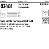 DIN 1481 Sortiment Stahl Spannstifte - Sortimente Spannstifte (Sortiment)
