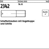 ISO 2342 14 H - Schaftschrauben mit Schlitz