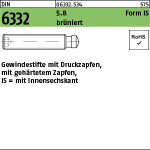 DIN 6332 5.8 IS brüniert brün - Gewindestifte