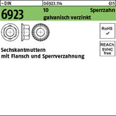 DIN 6923 10 galvanisch verzinkt m.Sperrverzahnung - Sechskantmuttern