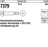 ISO 7379 12.9 6 h8 - Paß-Schulterschrauben - Paß-Schulterschrauben