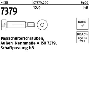 ISO 7379 12.9 6 h8 - Paß-Schulterschrauben - Paß-Schulterschrauben