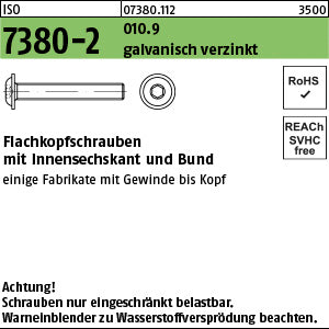 ISO 7380 -2 010.9 galvanisch verzinkt, getempert - Flachkopfschrauben mit Bund