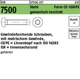 DIN 7500 Stahl gehärtet PE -T galvanisch verzinkt - Gewindefurchende Schrauben