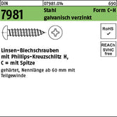 DIN 7981 Stahl Form C Phillips/Kreuzschlitz galvanisch verzinkt passiviert - Blechschrauben