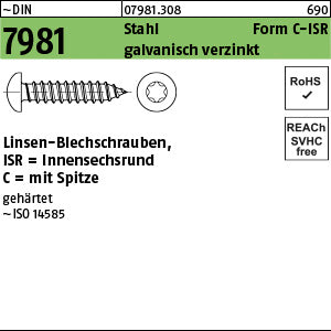 DIN 7981 Stahl Form C Torx galvanisch verzinkt passiviert - Blechschrauben