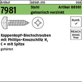 Kappenschr. ähnlich7981 Stahl galvanisch verzinkt Phillips/Kreuzschlitz - Kappenkopf-Blechschrauben