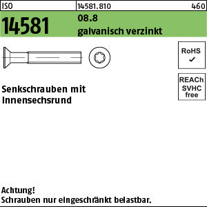 ISO 14581 08.8 Torx galvanisch verzinkt - Senkschrauben