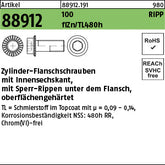 Innen-6-kt. Ripp-Schrauben Klasse 100 Zinklamelle - Zyl.-Flanschschrauben