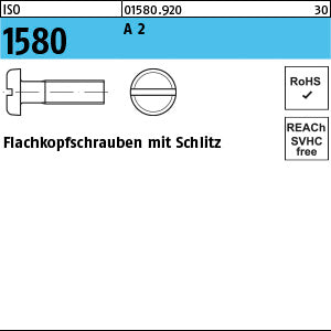 ISO 1580 A2 - Flachkopfschrauben