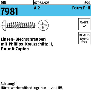 DIN 7981 A2 Form F Phillips/Kreuzschlitz - Blechschrauben