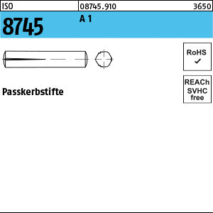 ISO 8745 1.4305 rostfrei - Paßkerbstifte