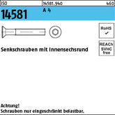 ISO 14581 A4 Torx - Senkschrauben