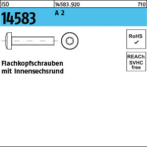 ISO 14583 A2 Torx - Flako-schrauben mit Innensechsrund