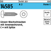 ISO 14585 A2 -C Torx - Linsenblechschrauben