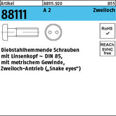 SicherheitsSchrauben(D 85) A2 Linsenkopf, mit. Zweiloch - Sicherheitsschrauben(D 85)