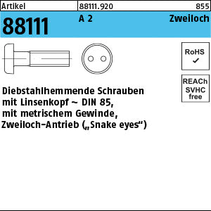 SicherheitsSchrauben(D 85) A2 Linsenkopf, mit. Zweiloch - Sicherheitsschrauben(D 85)